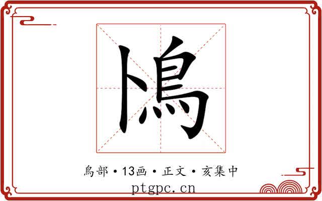 鳪