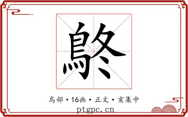 鴤