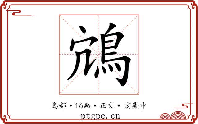 鴧