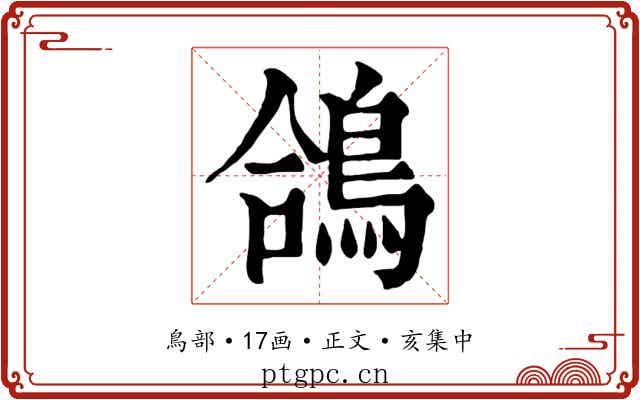 鴿