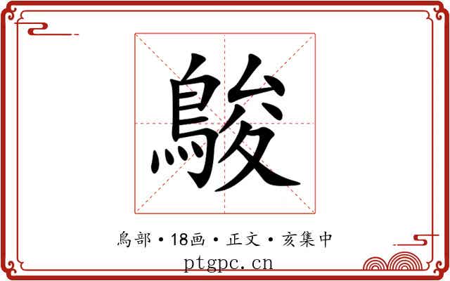 鵔