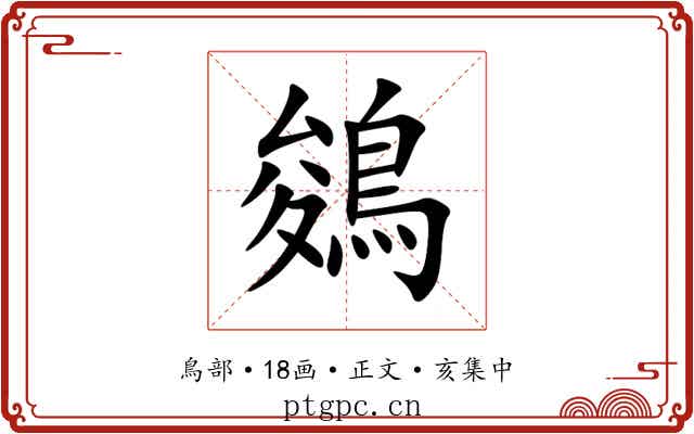 鵕