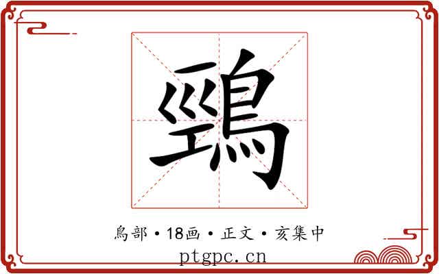 鵛