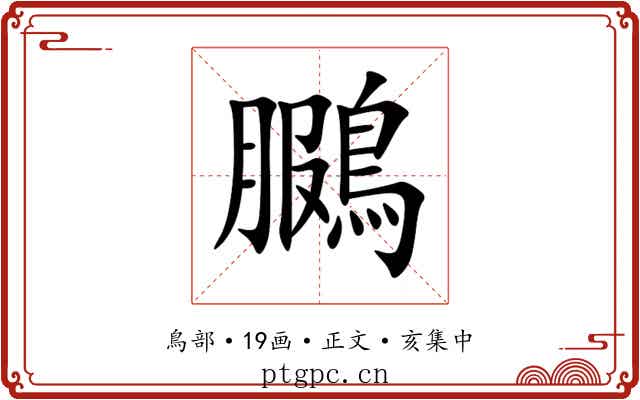 鵩