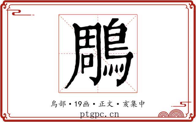 鵰