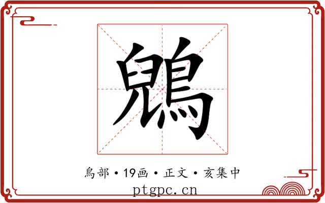 鶂