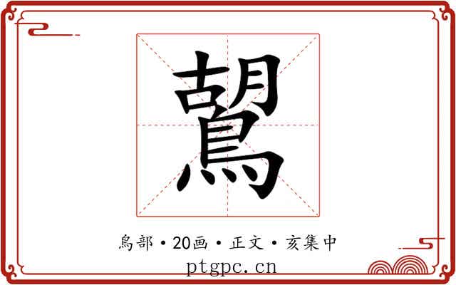 鶦