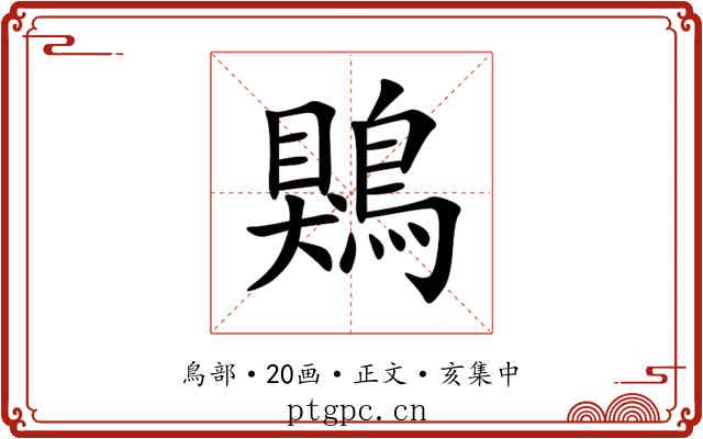 鶪
