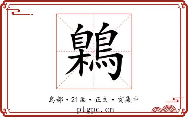 鷍