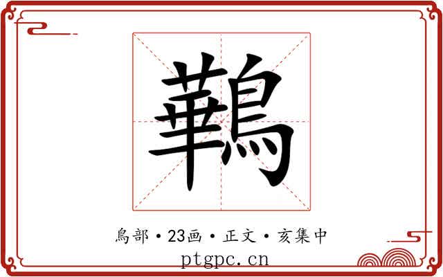 鷨