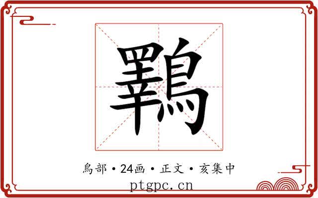 鸅