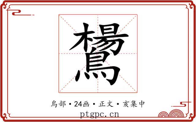 鸉