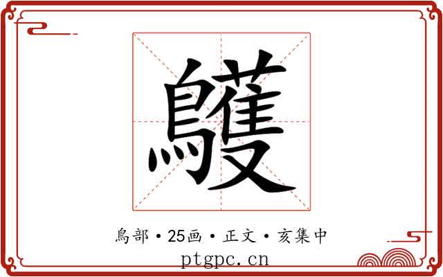 鸌