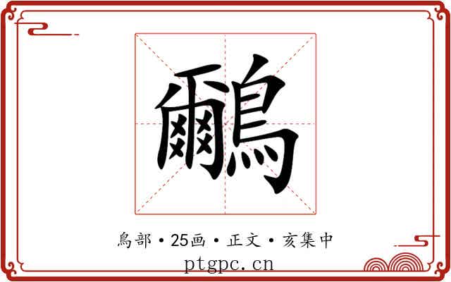 鸍
