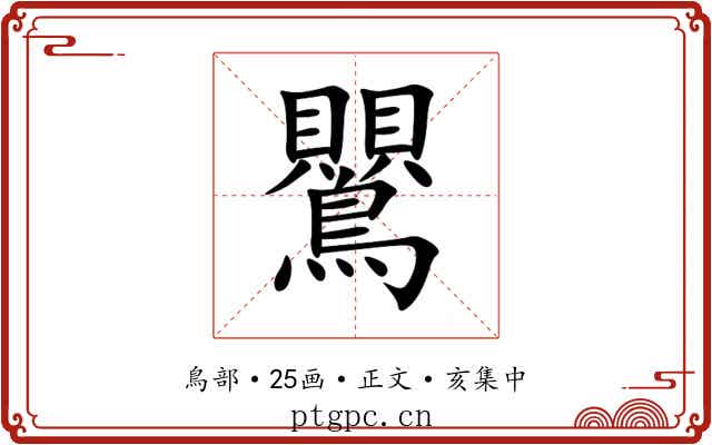 鸎