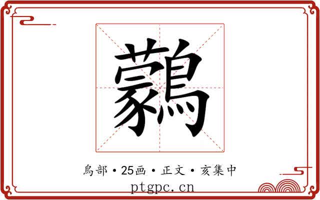 鸏