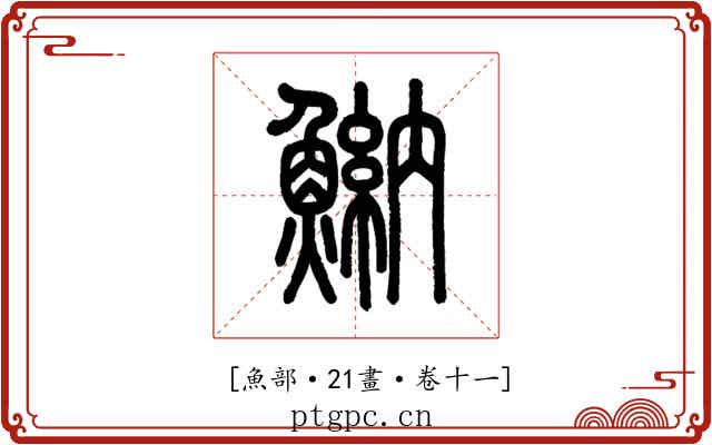 𩹾