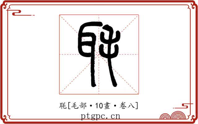 毦