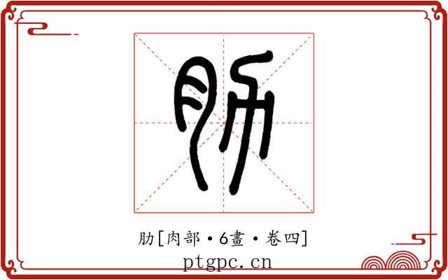 肋