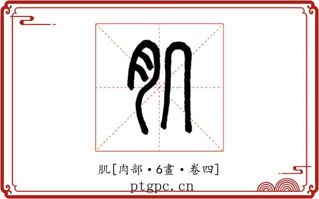 肌