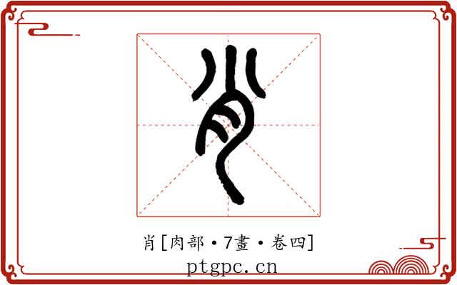 肖