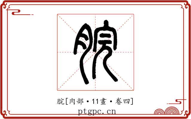 脘