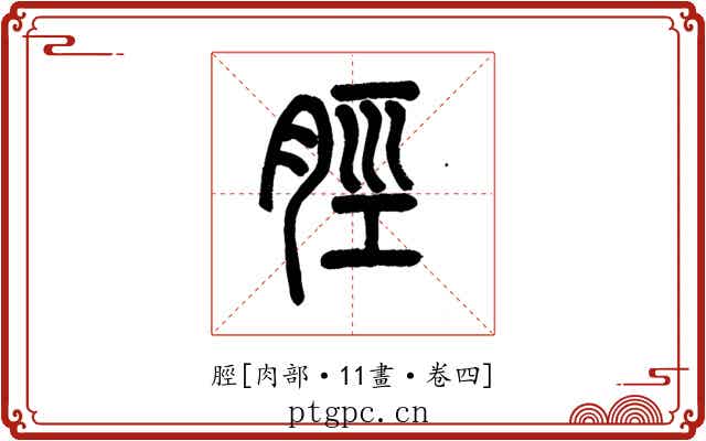 脛