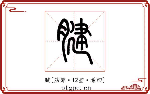 腱