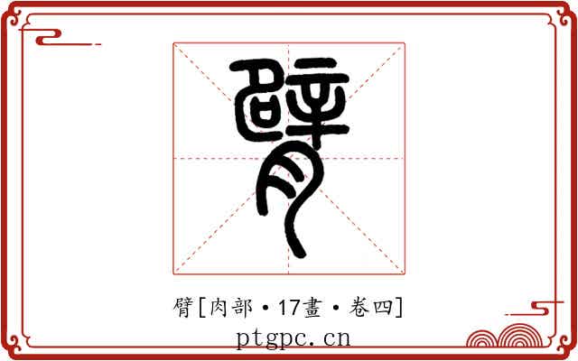 臂