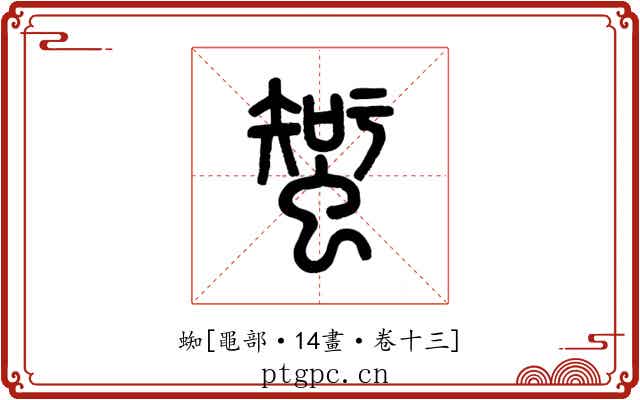 蜘