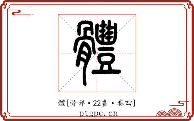 體