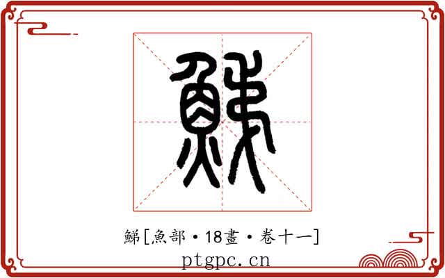 鮷