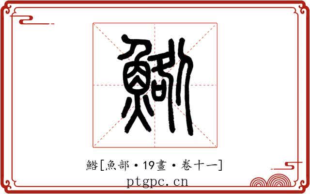 鯦