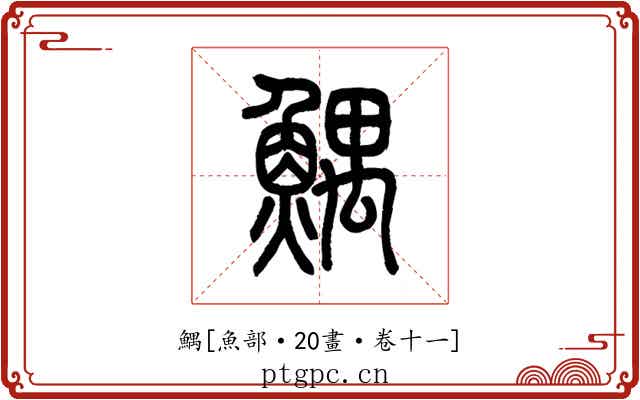 鰅