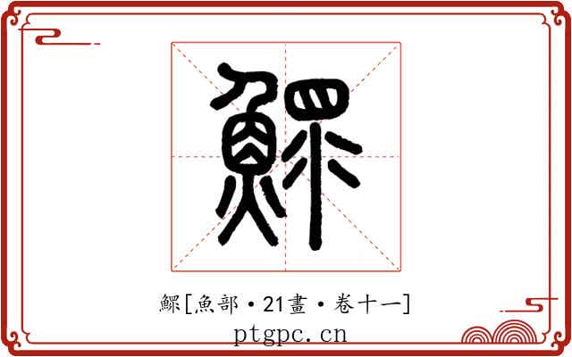 鰥
