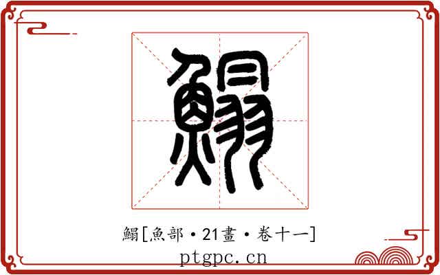 鰨