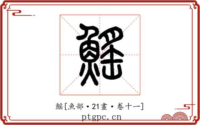 鰩