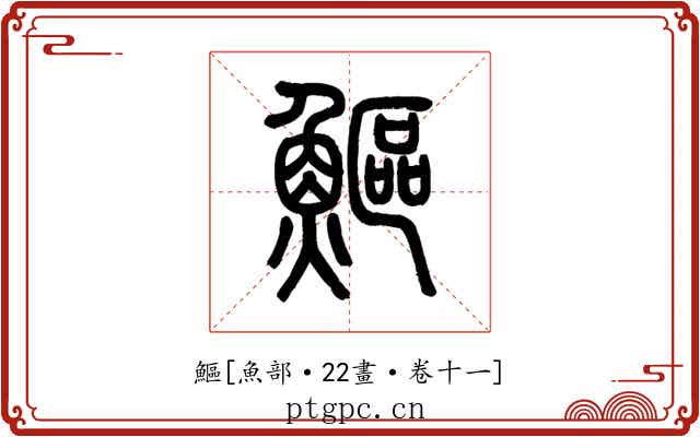 鰸