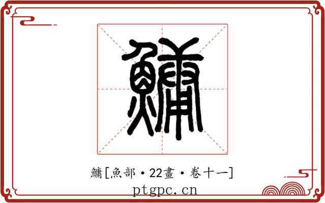 鱅