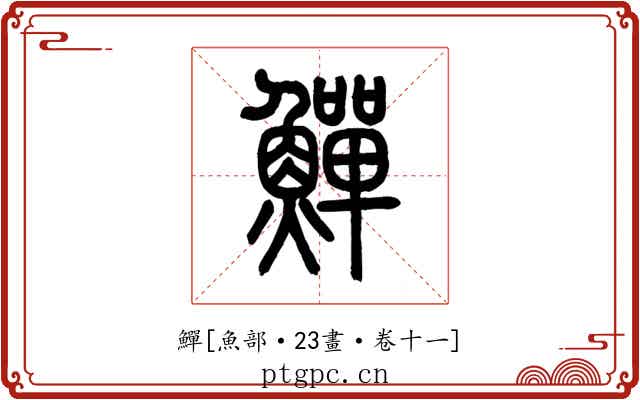 鱓
