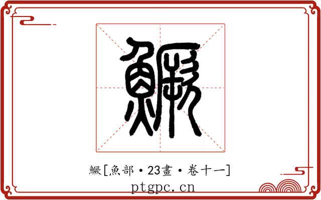 鱖