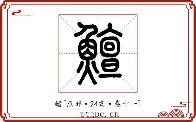 鱣