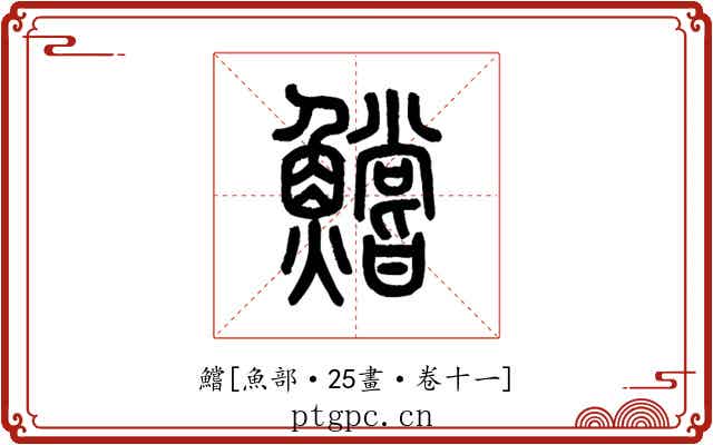 鱨