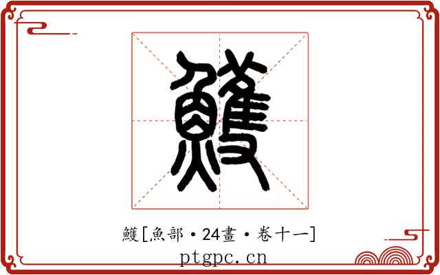 鱯