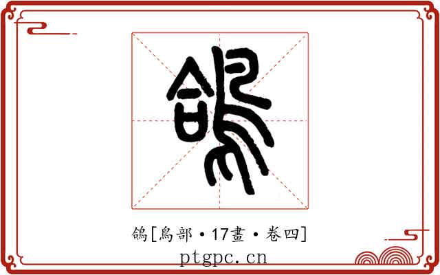 鴿