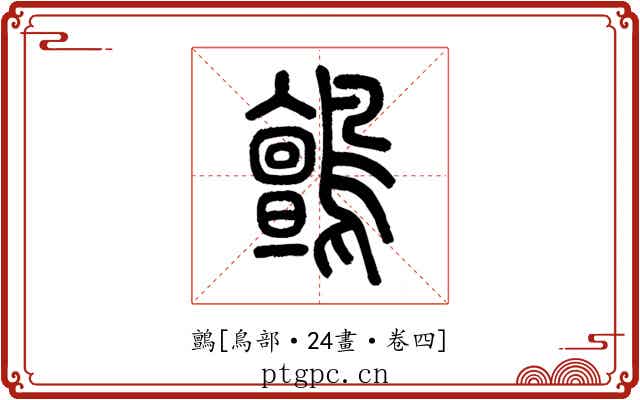 鸇