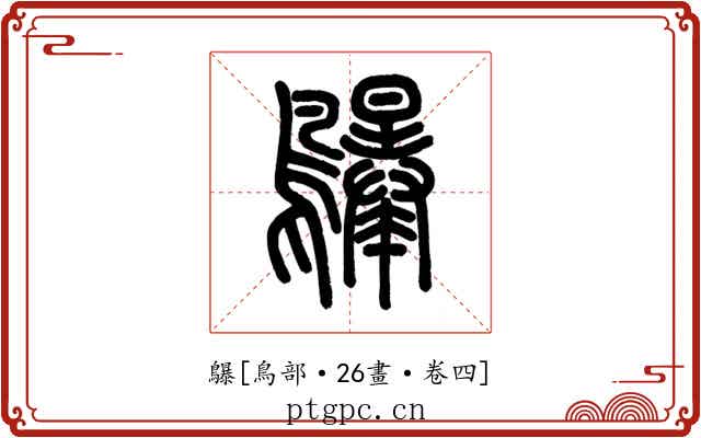 鸔