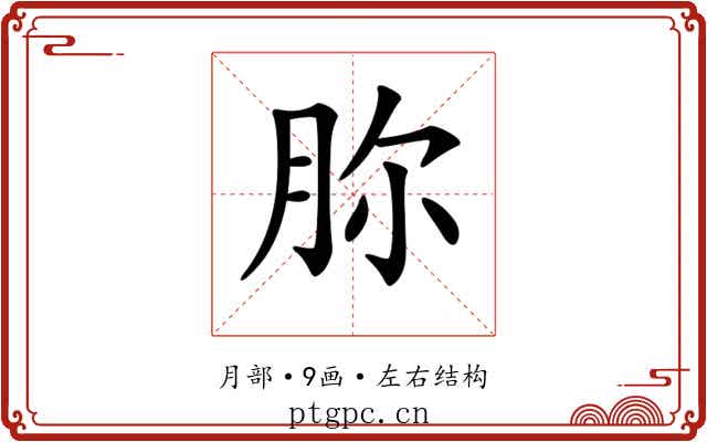 𣍨