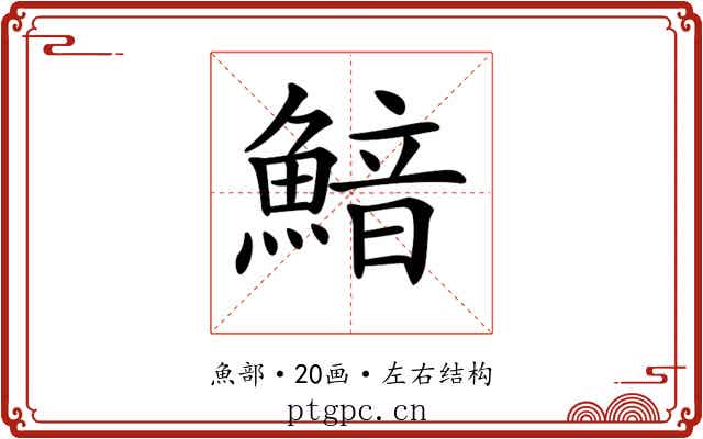 𩹎
