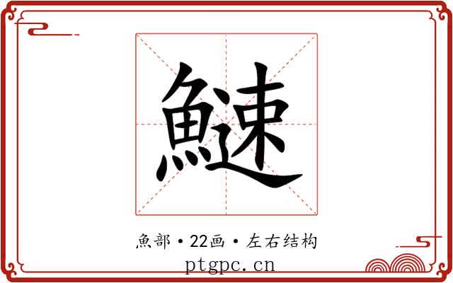 䲇 䲇